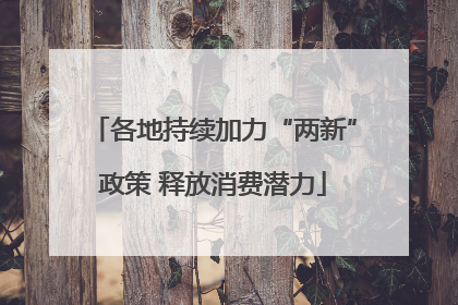 各地持续加力“两新”政策 释放消费潜力