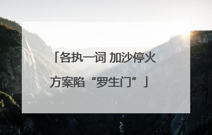 各执一词 加沙停火方案陷“罗生门”