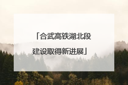 合武高铁湖北段建设取得新进展