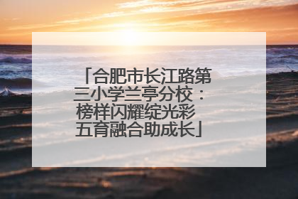 合肥市长江路第三小学兰亭分校：榜样闪耀绽光彩 五育融合助成长