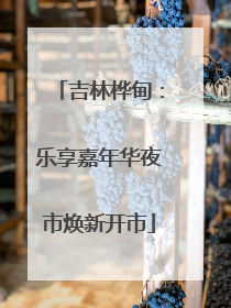吉林桦甸：乐享嘉年华夜市焕新开市