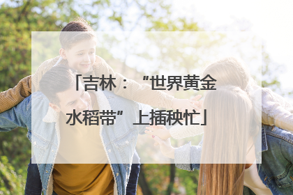 吉林：“世界黄金水稻带”上插秧忙