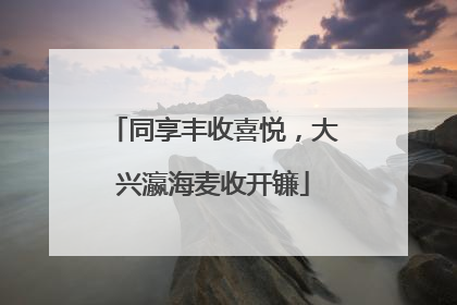 同享丰收喜悦，大兴瀛海麦收开镰