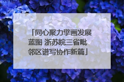 同心聚力擘画发展蓝图 浙苏皖三省毗邻区谱写协作新篇