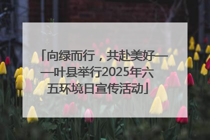 向绿而行，共赴美好——叶县举行2025年六五环境日宣传活动