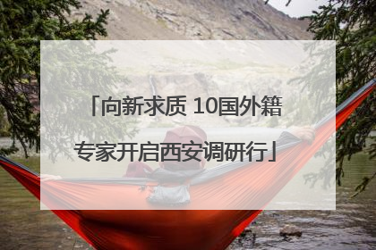 向新求质 10国外籍专家开启西安调研行