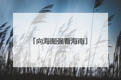 向海图强看海南