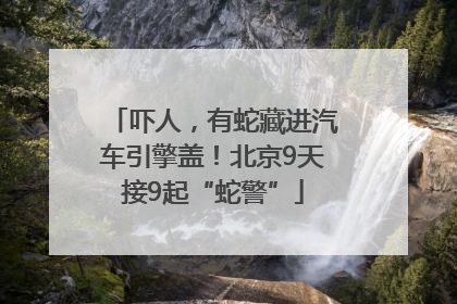 吓人，有蛇藏进汽车引擎盖！北京9天接9起“蛇警”