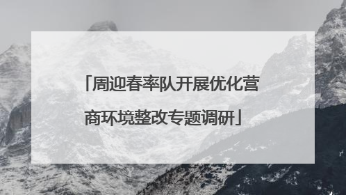 周迎春率队开展优化营商环境整改专题调研