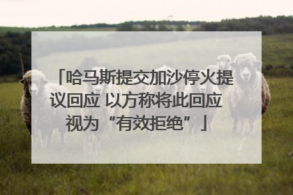 哈马斯提交加沙停火提议回应 以方称将此回应视为“有效拒绝”