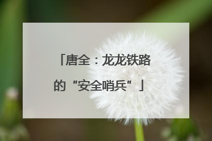 唐全：龙龙铁路的“安全哨兵”