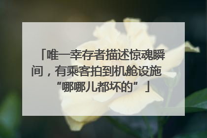 唯一幸存者描述惊魂瞬间，有乘客拍到机舱设施“哪哪儿都坏的”
