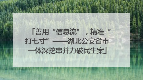 善用“信息流”，精准“打七寸”——湖北公安省市一体深挖串并力破民生案