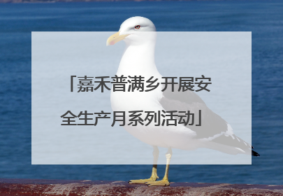 嘉禾普满乡开展安全生产月系列活动