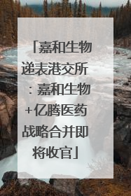 嘉和生物递表港交所：嘉和生物+亿腾医药战略合并即将收官