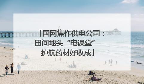 国网焦作供电公司：田间地头“电课堂” 护航药材好收成