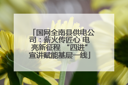 国网全南县供电公司：薪火传匠心 电亮新征程 “四进”宣讲赋能基层一线