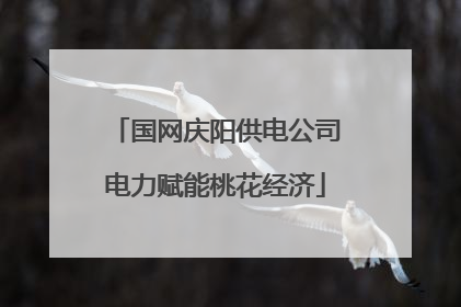 国网庆阳供电公司电力赋能桃花经济