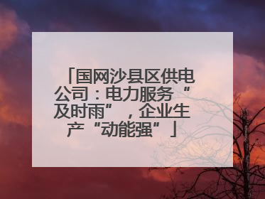 国网沙县区供电公司：电力服务“及时雨”，企业生产“动能强”