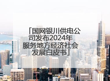 国网银川供电公司发布2024年服务地方经济社会发展白皮书