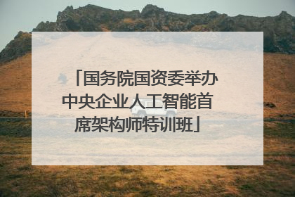 国务院国资委举办中央企业人工智能首席架构师特训班