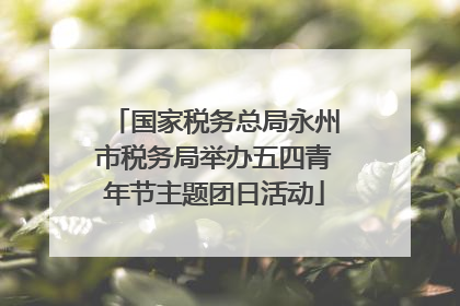 国家税务总局永州市税务局举办五四青年节主题团日活动