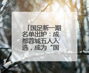 国足新一期名单出炉：成都蓉城五人入选，成为“国脚大户”！