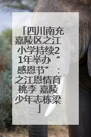四川南充嘉陵区之江小学持续21年举办“感恩节”：之江恩情育桃李 嘉陵少年志栋梁