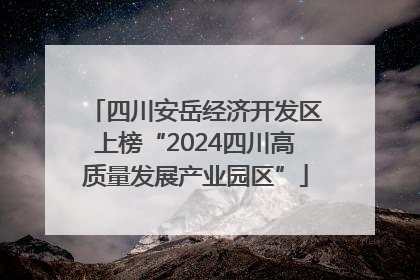 四川安岳经济开发区上榜“2024四川高质量发展产业园区”