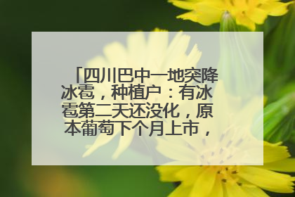 四川巴中一地突降冰雹，种植户：有冰雹第二天还没化，原本葡萄下个月上市，现在全被打落