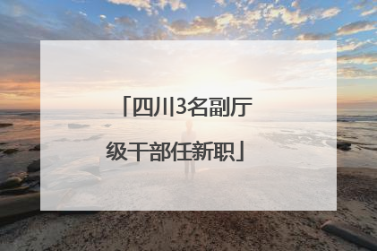 四川3名副厅级干部任新职