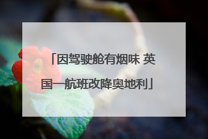 因驾驶舱有烟味 英国一航班改降奥地利