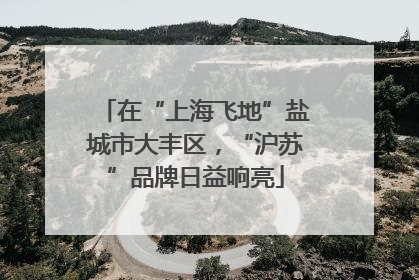 在“上海飞地”盐城市大丰区，“沪苏”品牌日益响亮