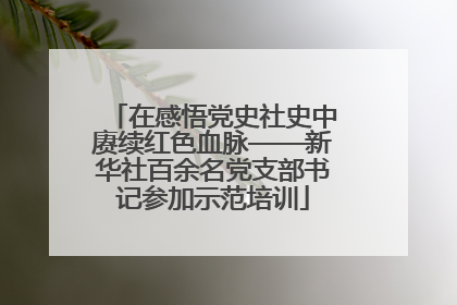 在感悟党史社史中赓续红色血脉——新华社百余名党支部书记参加示范培训