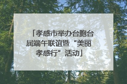 孝感市举办台胞台属端午联谊暨“美丽孝感行”活动