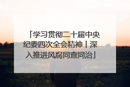 学习贯彻二十届中央纪委四次全会精神丨深入推进风腐同查同治