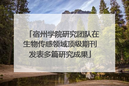 宿州学院研究团队在生物传感领域顶级期刊发表多篇研究成果
