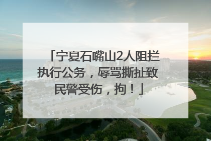 宁夏石嘴山2人阻拦执行公务，辱骂撕扯致民警受伤，拘！