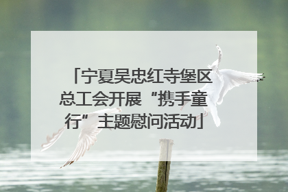 宁夏吴忠红寺堡区总工会开展“携手童行”主题慰问活动