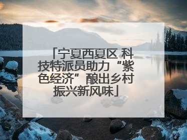 宁夏西夏区 科技特派员助力“紫色经济”酿出乡村振兴新风味