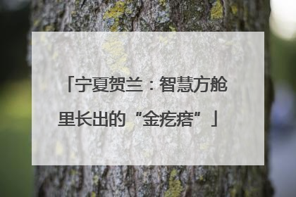 宁夏贺兰：智慧方舱里长出的“金疙瘩”