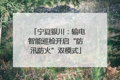 宁夏银川：输电智能巡检开启“防汛防火”双模式