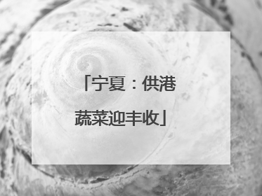 宁夏：供港蔬菜迎丰收