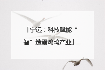 宁远：科技赋能“智”造蛋鸡鸭产业