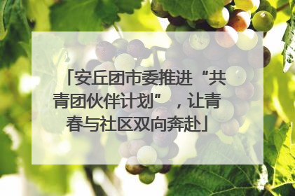 安丘团市委推进“共青团伙伴计划”，让青春与社区双向奔赴