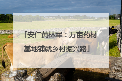安仁黄林军：万亩药材基地铺就乡村振兴路