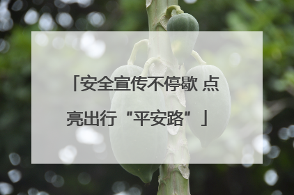 安全宣传不停歇 点亮出行“平安路”