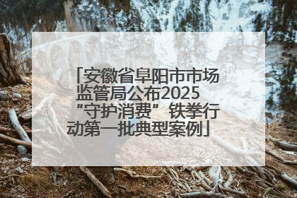 安徽省阜阳市市场监管局公布2025“守护消费”铁拳行动第一批典型案例
