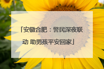安徽合肥：警民深夜联动 助男孩平安回家