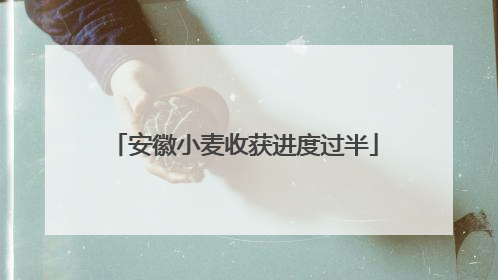 安徽小麦收获进度过半